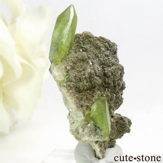 ѥ Tormiq valley եդ 7.2gμ̿0 cute stone