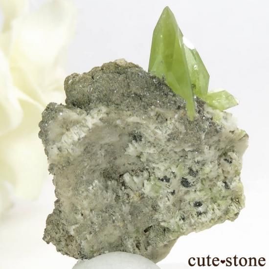 ѥ Tormiq valley եդ 7.2gμ̿1 cute stone