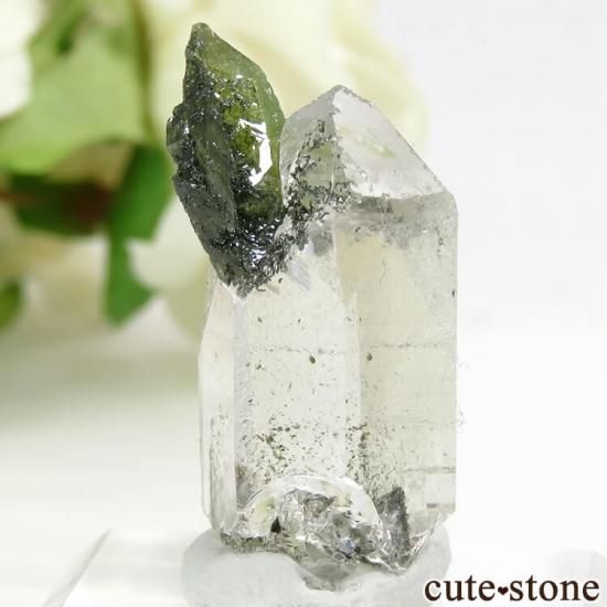 ѥ Tormiq valley ե 5.5gμ̿1 cute stone