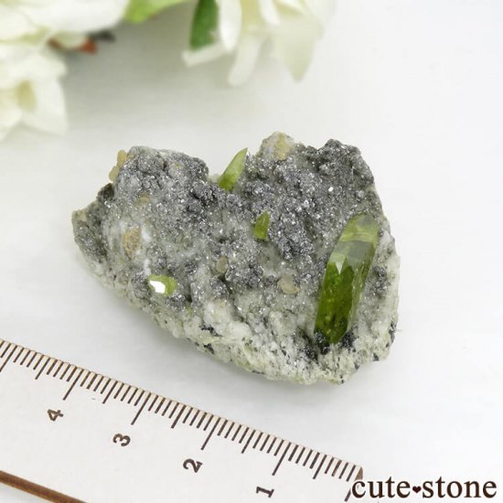 ѥ Tormiq valley եդ 28gμ̿5 cute stone