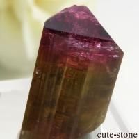  Lake Baikal area ȥޥñ뾽() 3.6gβ