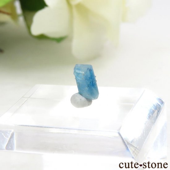 Х֥ 桼졼η뾽ʸС 0.3ctμ̿0 cute stone