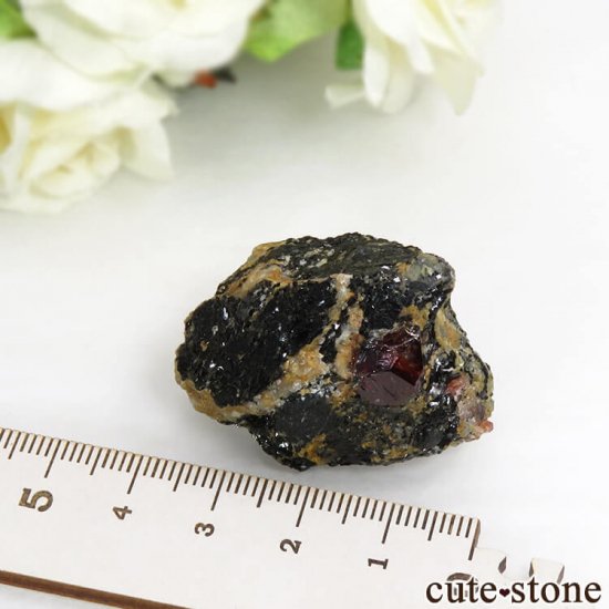 ѥ Astor 륳դ뾽ʸС33gμ̿4 cute stone