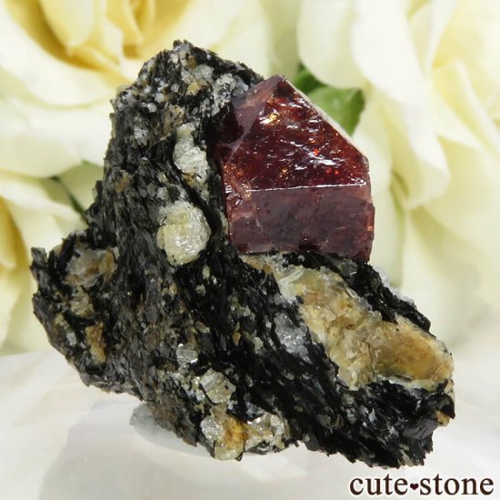ѥ Astor 륳դ뾽ʸС20gμ̿0 cute stone