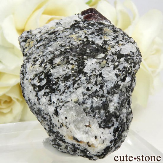 ѥ Astor 륳դ뾽ʸС47gμ̿0 cute stone