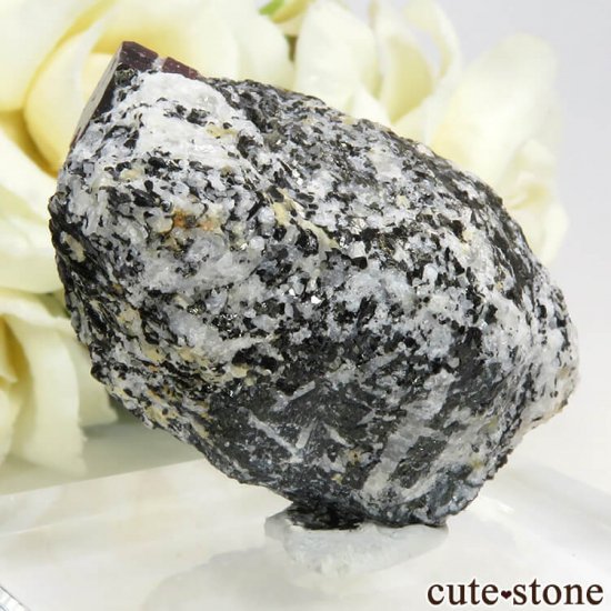 ѥ Astor 륳դ뾽ʸС47gμ̿1 cute stone