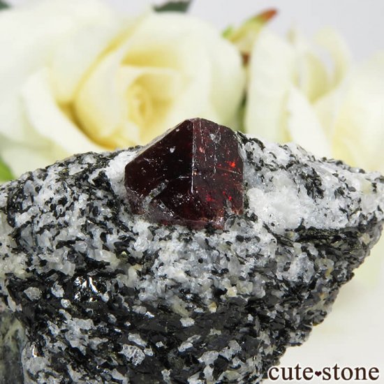 ѥ Astor 륳դ뾽ʸС47gμ̿2 cute stone