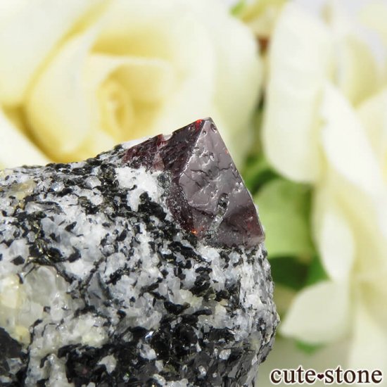 ѥ Astor 륳դ뾽ʸС47gμ̿3 cute stone