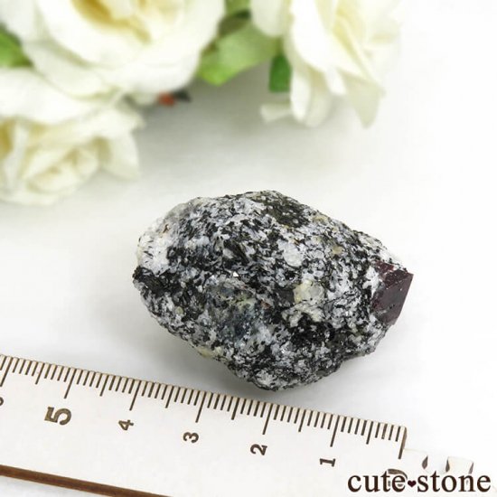 ѥ Astor 륳դ뾽ʸС47gμ̿4 cute stone