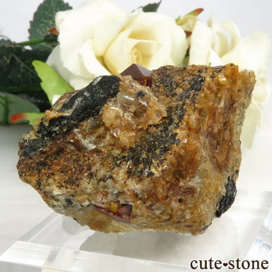 ѥ Astor 륳դ뾽ʸС110gμ̿0 cute stone