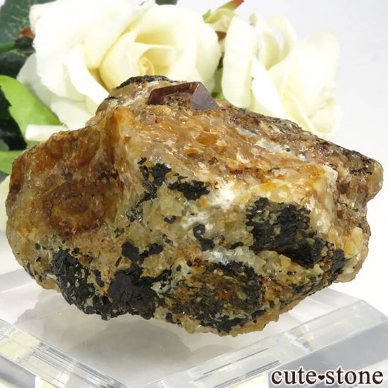 ѥ Astor 륳դ뾽ʸС110gμ̿1 cute stone