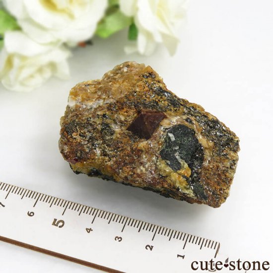 ѥ Astor 륳դ뾽ʸС110gμ̿4 cute stone