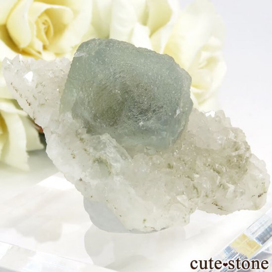  ͥ륹 ꡼֥롼ե饤Ȥդ뾽() 29.7gμ̿0 cute stone