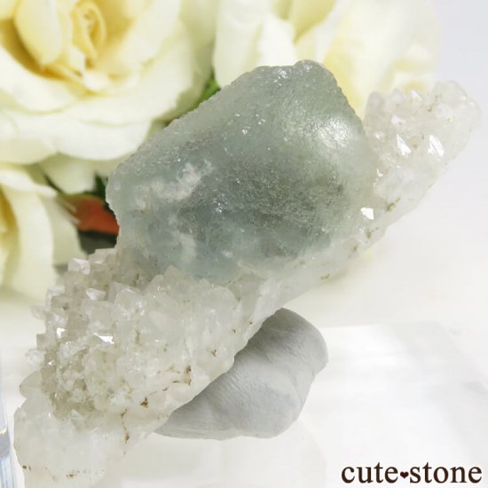  ͥ륹 ꡼֥롼ե饤Ȥդ뾽() 29.7gμ̿1 cute stone