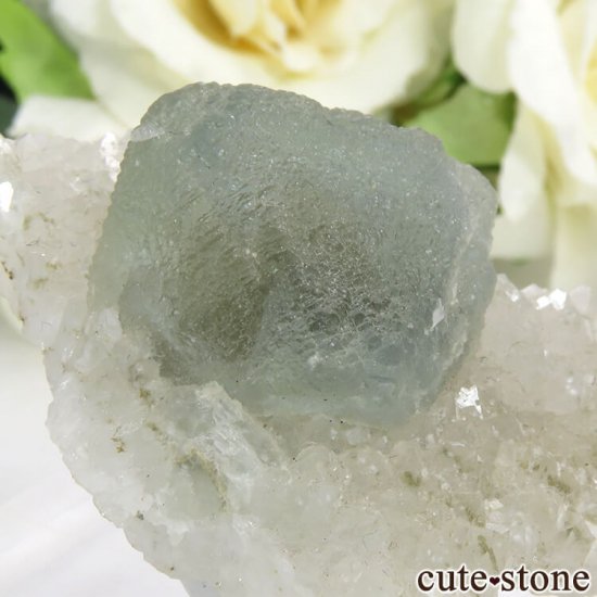  ͥ륹 ꡼֥롼ե饤Ȥդ뾽() 29.7gμ̿3 cute stone