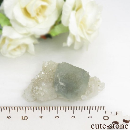  ͥ륹 ꡼֥롼ե饤Ȥդ뾽() 29.7gμ̿5 cute stone
