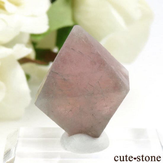  󥴥뻺Υԥ󥯥ե饤Ȥη뾽ʸС6g (1)μ̿0 cute stone