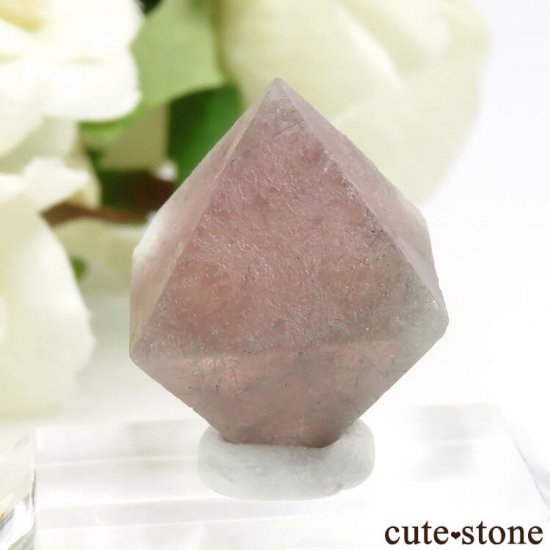  󥴥뻺Υԥ󥯥ե饤Ȥη뾽ʸС6g (1)μ̿1 cute stone