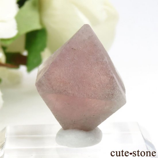  󥴥뻺Υԥ󥯥ե饤Ȥη뾽ʸС6g (1)μ̿2 cute stone