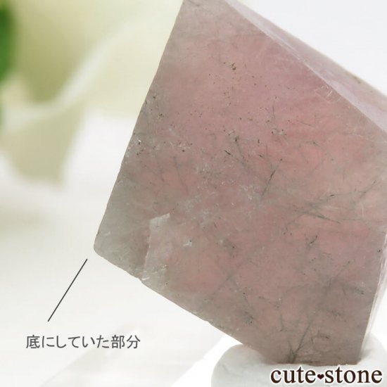  󥴥뻺Υԥ󥯥ե饤Ȥη뾽ʸС6g (1)μ̿3 cute stone