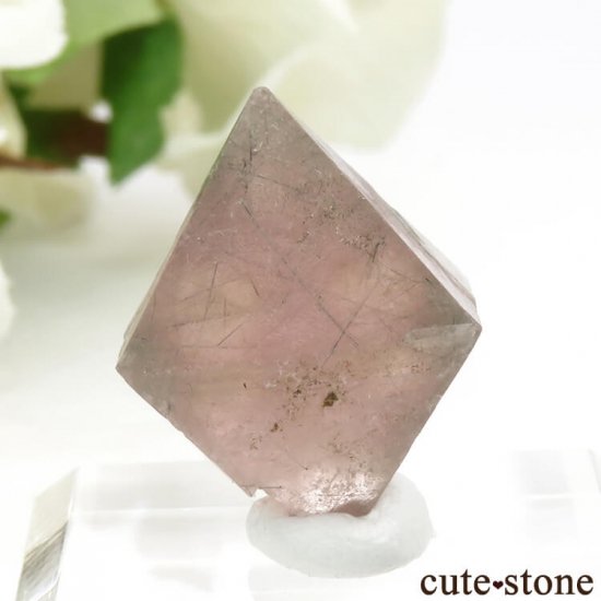  󥴥뻺Υԥ󥯥ե饤Ȥη뾽ʸС6g (2)μ̿0 cute stone