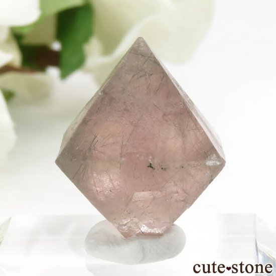  󥴥뻺Υԥ󥯥ե饤Ȥη뾽ʸС6g (2)μ̿1 cute stone
