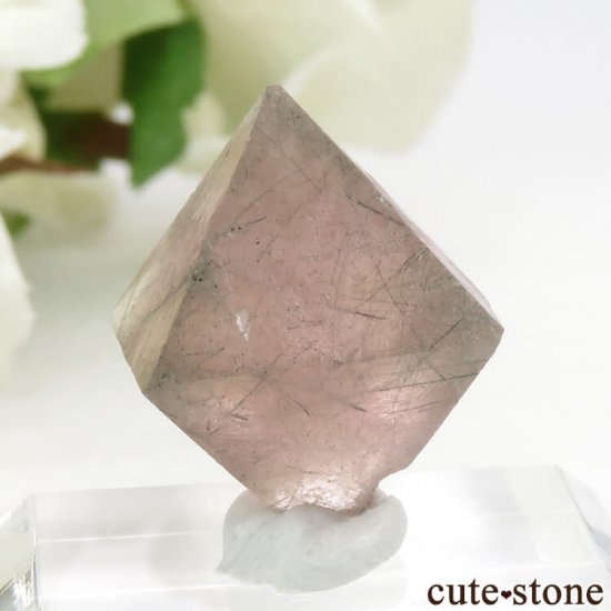  󥴥뻺Υԥ󥯥ե饤Ȥη뾽ʸС6g (2)μ̿2 cute stone