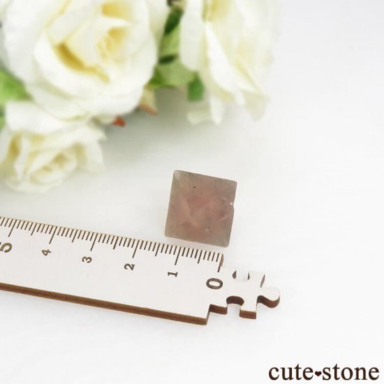  󥴥뻺Υԥ󥯥ե饤Ȥη뾽ʸС6g (2)μ̿4 cute stone