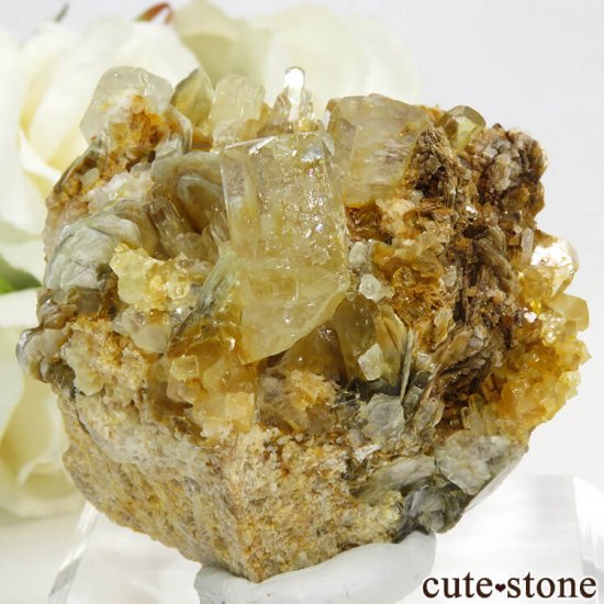 ѥ NagarʥȤդ뾽ʸС 75.5gμ̿2 cute stone