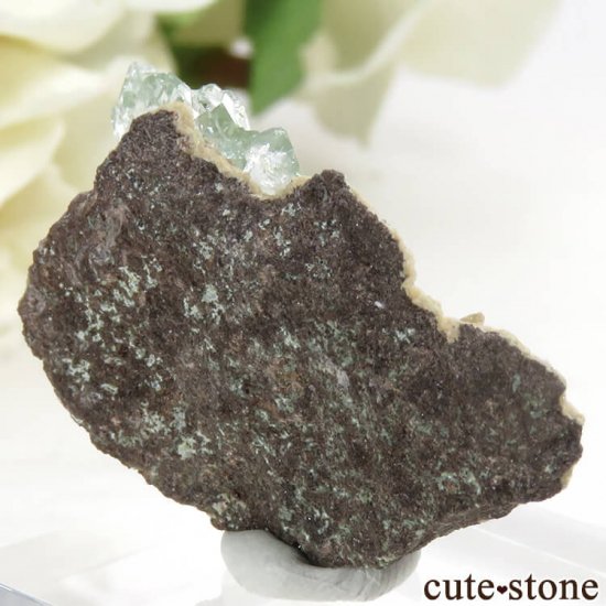  ޥɥʥ ꡼󥢥ݥե饤Ȥθ 6.1gμ̿0 cute stone