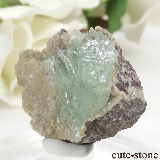  ޥɥʥ ꡼󥢥ݥե饤Ȥθ 6.1gμ̿1 cute stone