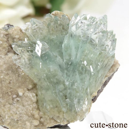  ޥɥʥ ꡼󥢥ݥե饤Ȥθ 6.1gμ̿2 cute stone
