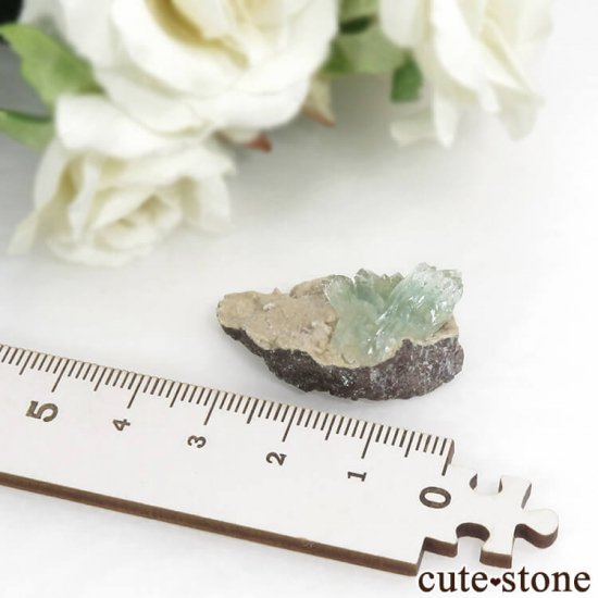  ޥɥʥ ꡼󥢥ݥե饤Ȥθ 6.1gμ̿3 cute stone
