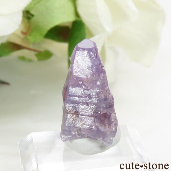 󥫻 ѡץ륵եη뾽ʸС2.2gμ̿1 cute stone