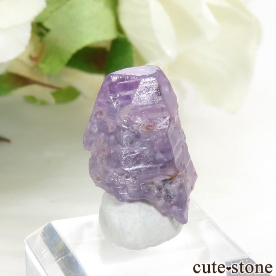 󥫻 ѡץ륵եη뾽ʸС2.2gμ̿2 cute stone