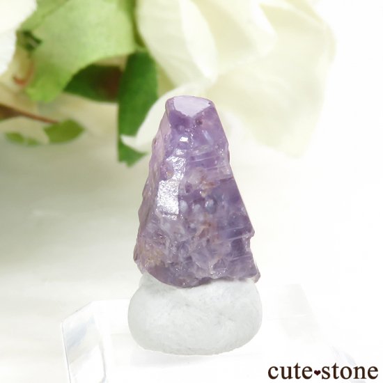 󥫻 ѡץ륵եη뾽ʸС2.2gμ̿3 cute stone