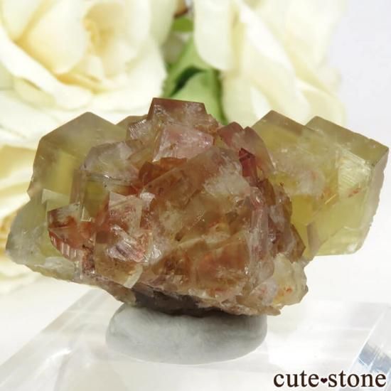 ドイツ Dorfel Quarry産 イエローフローライト 35.5g - cute stone -