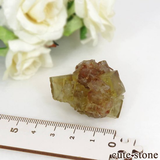 ɥ Dorfel Quarry ե饤 35.5gμ̿4 cute stone