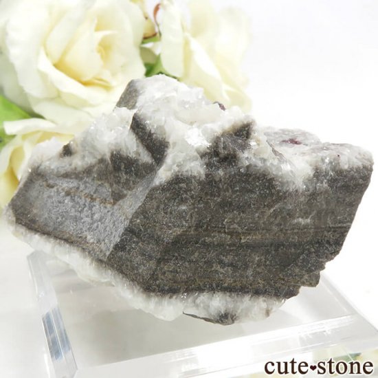 äʥ󥷥˥ʥСդ 97.2gμ̿0 cute stone