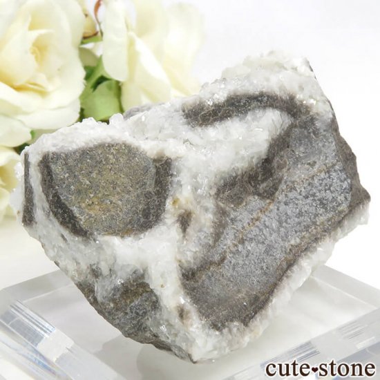 äʥ󥷥˥ʥСդ 97.2gμ̿1 cute stone