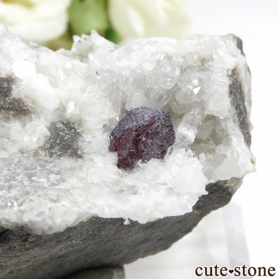 äʥ󥷥˥ʥСդ 97.2gμ̿2 cute stone