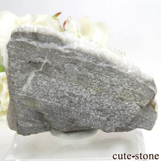 äʥ󥷥˥ʥСդ 82.4gμ̿0 cute stone