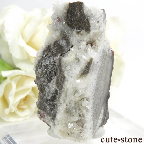 äʥ󥷥˥ʥСդ 39.8gμ̿1 cute stone