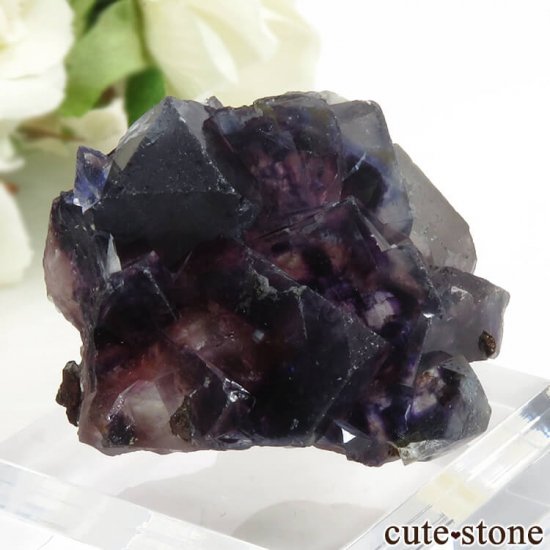  󥴥뻺 ѡץե饤Ȥη뾽ʸС 45.8gμ̿0 cute stone