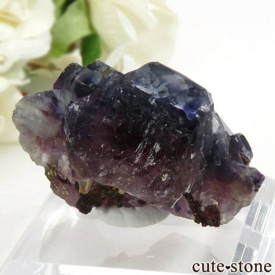 󥴥뻺 ѡץե饤Ȥη뾽ʸС 45.8gμ̿1 cute stone