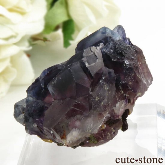 󥴥뻺 ѡץե饤Ȥη뾽ʸС 45.8gμ̿2 cute stone