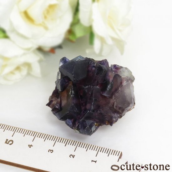  󥴥뻺 ѡץե饤Ȥη뾽ʸС 45.8gμ̿5 cute stone