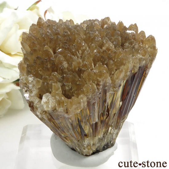  ʻ ո륵ȤΥ饹ʸС162gμ̿0 cute stone