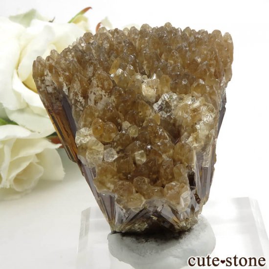  ʻ ո륵ȤΥ饹ʸС162gμ̿2 cute stone