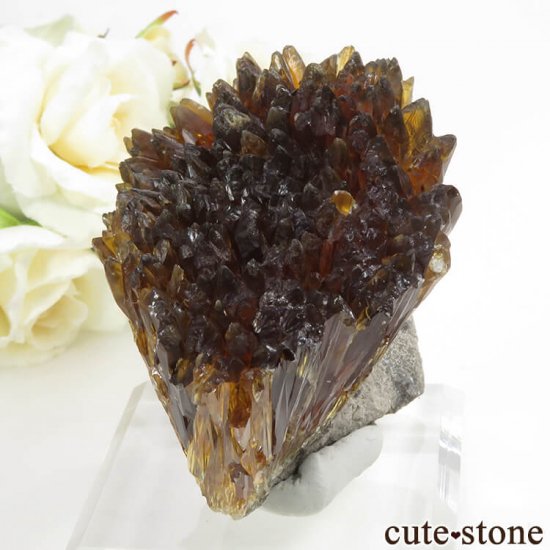  ʻ ո륵ȤΥ饹ʸС161gμ̿0 cute stone